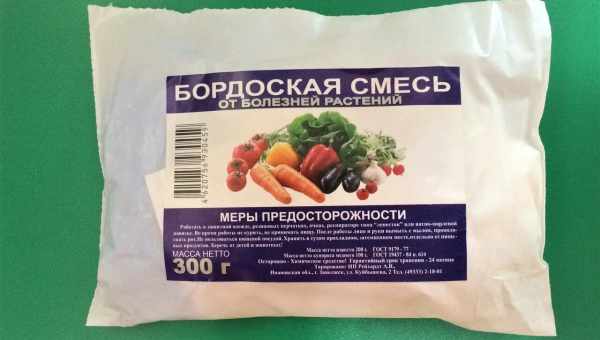 Бордосская жидкость, смесь: инструкция по применению, обработка, приготовление, свойства