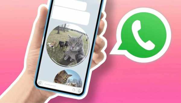 В WhatsApp появятся каналы, как в Telegram