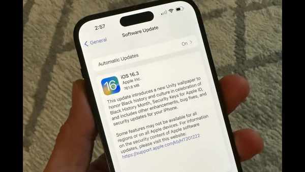 Apple до сих пор подписывает файл iOS 11.3 Beta 5; возможен откат