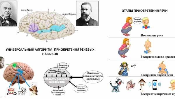 Письмо из мозга