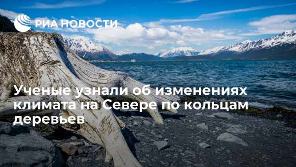 Ученые выяснили, как наши предки выживали в изменяющемся климате