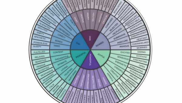Классификация эмоций, виды эмоций и чувств