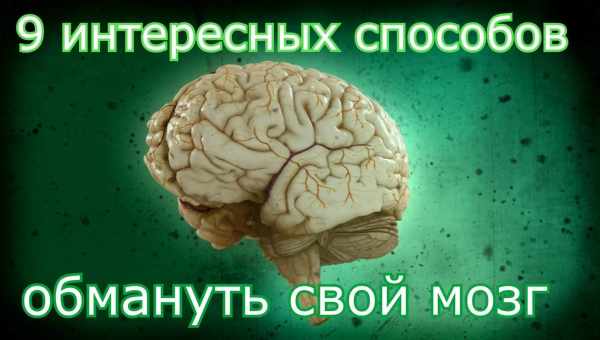 10 лайфхаков, как обмануть мозг и сделать еду вкуснее