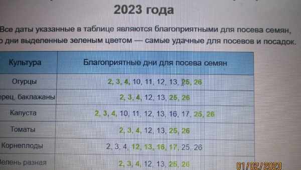 Лунный календарь благоприятных дней для операций на 2017 годВ выборе хорошего дня для операции, если, конечно, у вас имеется возможность такого выбора, немаловажную роль играет личный гороскоп человека. Однако лунный календарь помогает во многом выбрать н