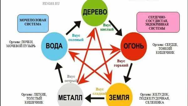 Китайская «теория риса»: как родные поля формируют национальный менталитет