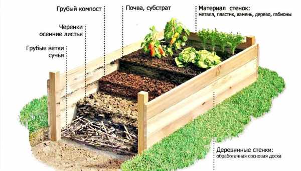 Подготовка почвы под клубнику при посадке осенью