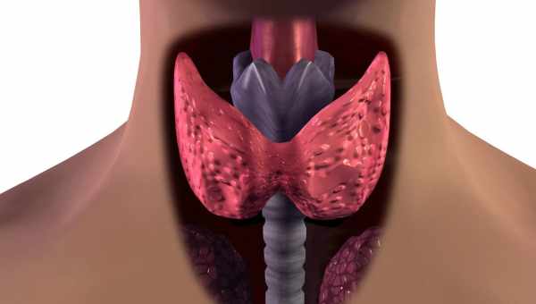 Лечение зоба щитовидной железы народными средствами – в чём опасность? Мнение врача об эффективности лечения зоба щитовидки народными средствами