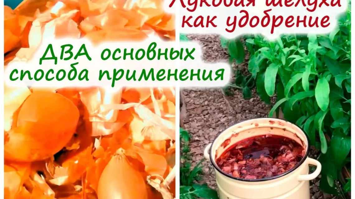 Луковая шелуха: вредная, полезная или бесполезная вещь? Как рачительные хозяйки используют луковую шелуху с пользой для себя