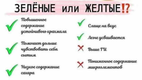 В чем заключается польза и вред брынзы – рассольного сыра. Полезно или вредно употреблять брынзу каждый день?