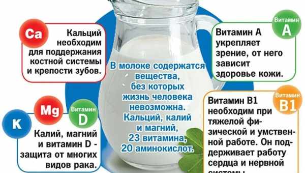 Коровье молоко: вред и польза для организма. Кому и в каких количествах полезно коровье молоко, вредно ли оно для ребёнка?