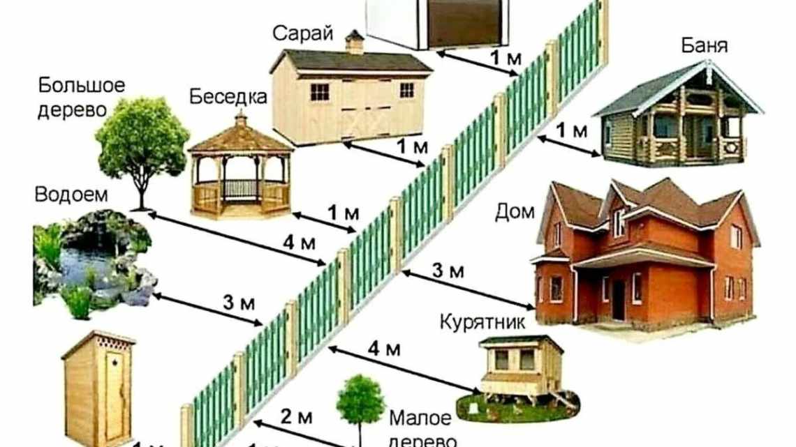 Расстояние между черешнями при посадке