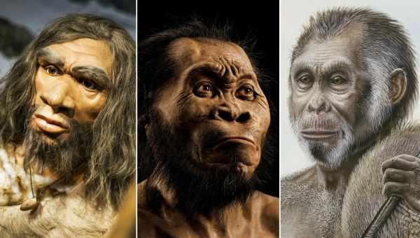 Homo naledi жили одновременно с Homo sapiens