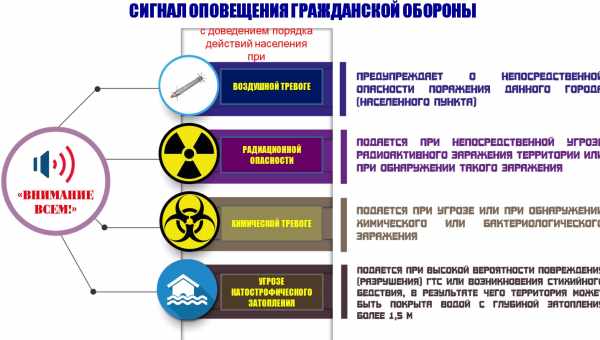 При столкновении пчелы издают «ой!»-сигнал