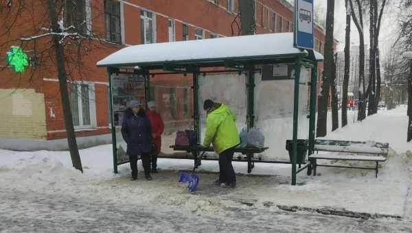 Сроки уборки хрена