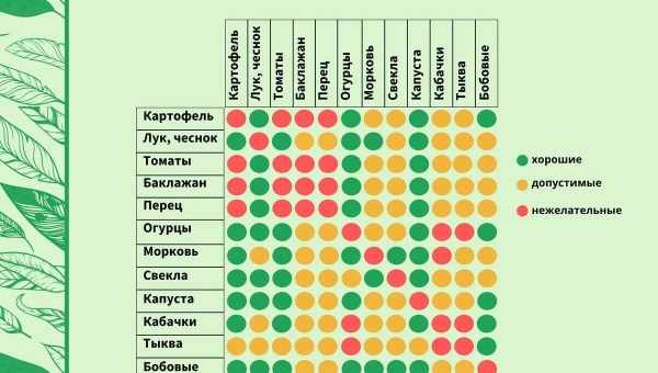 Что сажать после кабачков?