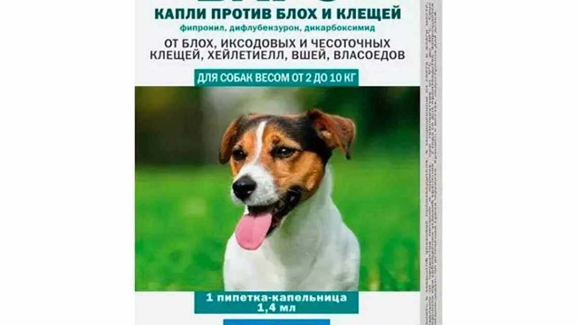 Краплі Барс: види, інструкція із застосування для кішок і собак, склад