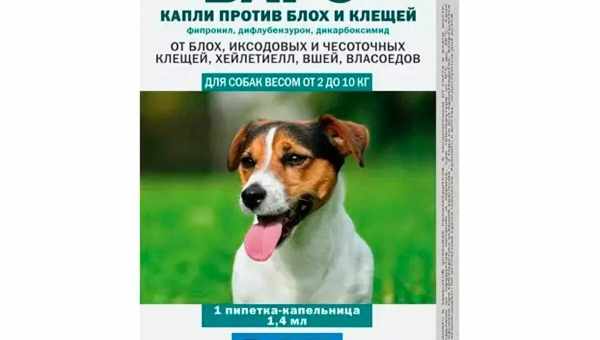 Краплі Барс: види, інструкція із застосування для кішок і собак, склад