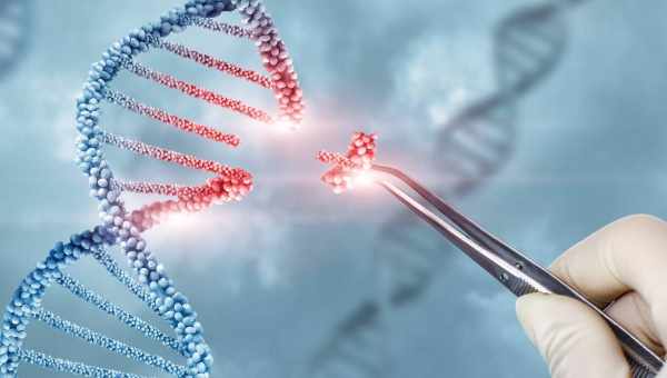 Використання CRISPR призводить до появи випадкових мутацій