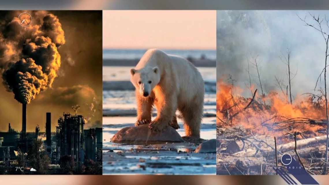 5 інструментів зміни клімату для розуміння та боротьби з глобальним потеплінням