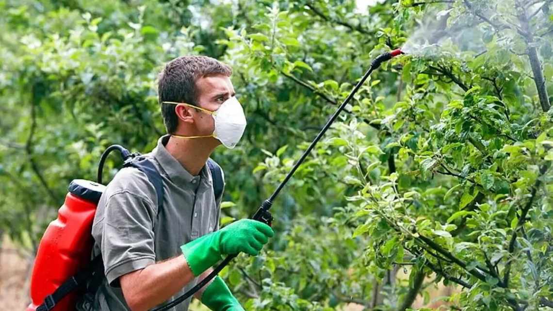 6 дотепних способів захистити сад від мишей та зайців взимку